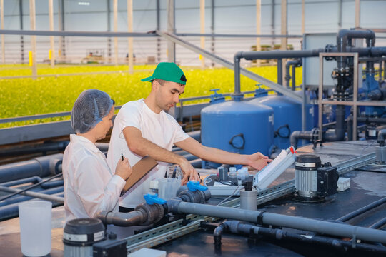 Two workers manage equipment for hydroponic salad and vegetable growing in a large greenhouse. They observe controls and review data during the day