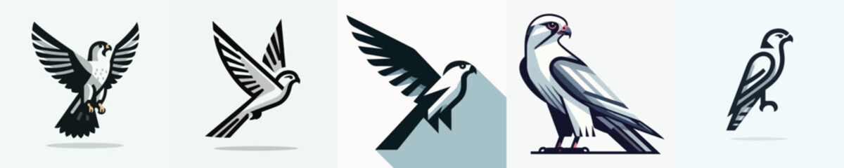 Obraz premium Falcon Vector Illustration