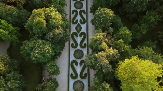 Top down aerial shot of symmetrical French garden hedge pattern