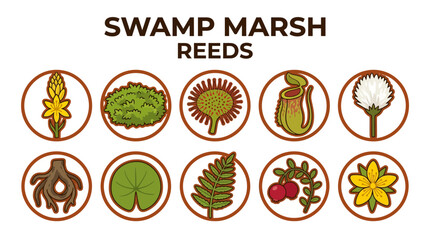 Collection of Swamp Marsh Reeds and Aquatic Plants Icons. © Jesica