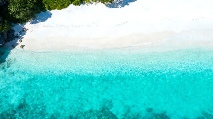 Aerial view of a serene beach with crystal clear turquoise water and lush greenery on a sunny day with sandy shore and tropical landscape