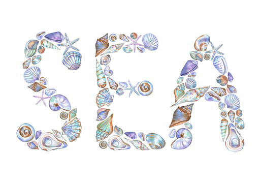Word Sea made of seashells and starfish. Watercolor hand-drawn lettering, elegant design for summer. For cards, art prints, stationery, packaging, and more