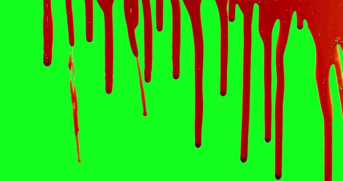 Realistic blood drips slowly flowing from the top of a chroma key green screen background. High-speed footage captured on cinema camera, ideal for horror, thriller and VFX compositing.
