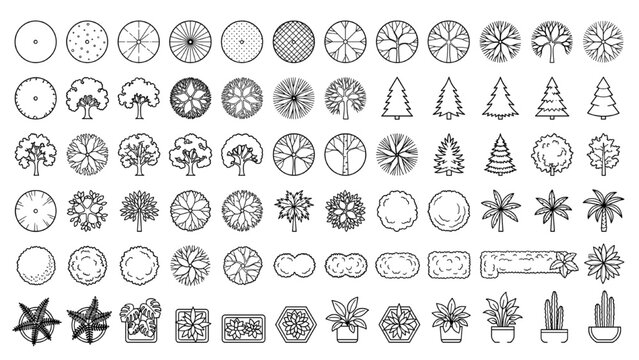 Top View Vector Icons of Trees and Plants for Floor Plans Landscape Architecture and Design Projects
