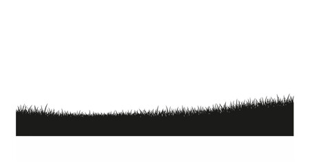 Grass silhouette on transparent background © Mehrun