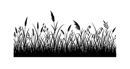 Wild grasses silhouette on transparent background © Mehrun