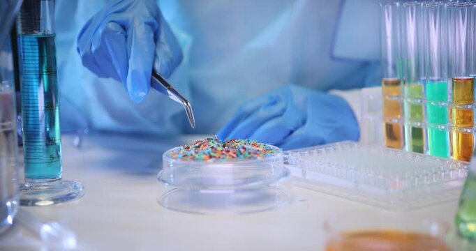 Scientist takes colorful pieces of microplastic with tongs in lab environment. Assistant in gloves researches dangerous contaminant in workplace