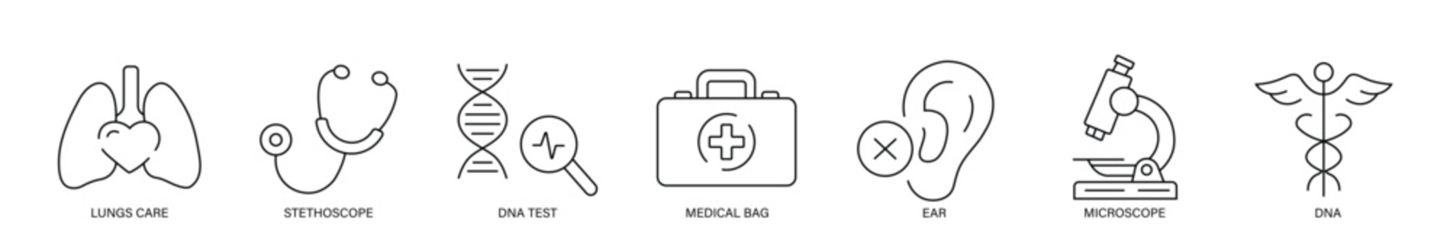 Medical care line icon set featuring lungs, stethoscope, DNA test, medical bag, ear, microscope, caduceus symbol and research. editable stroke vector set.