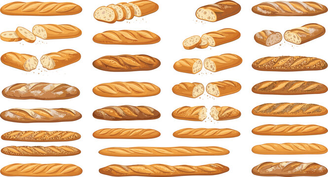 Fresh Baked French Baguette Bread Collection with Whole Loaves Slices and Seeded Crust Varieties for Bakery Menus Grocery Branding and Cooking Graphics