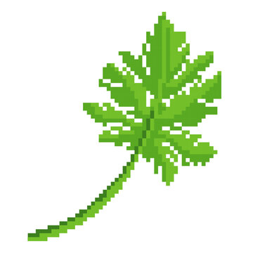 Papaya Leave Pixel Art - Pixel Art Sample 1024 x 1024