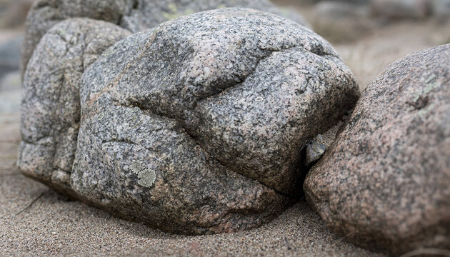 Granite giants kneel in the sand, a quiet dream of ancient skin and slow time