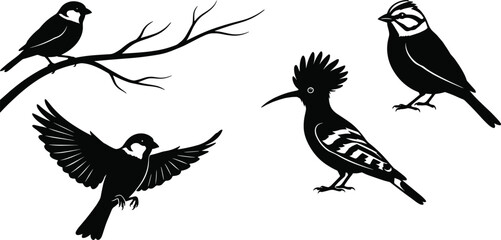 Collection of Black Bird Silhouettes Featuring Flying Sparrow Perched Hoopoe on Branch and Songbird Elements for Wildlife Nature Graphic Design Projects © MdMonowar