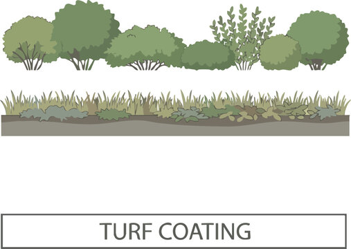 Set of shrubs line cad, minimal isolated on white background. Ground cover. Illustration for elevation architectural element, side view, grass section. Turf coating banners for edging vector art 