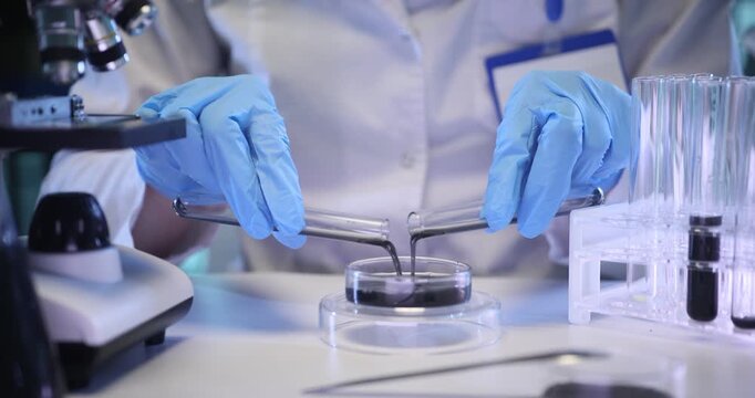 Woman assistant pours crude oil from test tubes into Petri dish in lab. Chemist researches reactions of fluid materials in scientific center