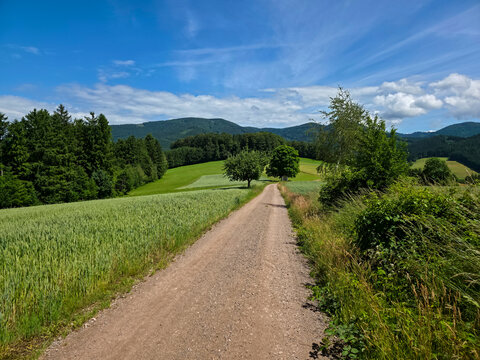 germany, straight hiking path with mountain backdrop beside forest edge under bright cloud decorated sky