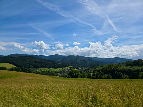 germany, charming meadow foreground framing elzach village with forested mountains under bright summer sunshine