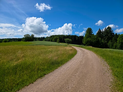 germany, stunning curved hiking path beside forest edge under blue sky and bright fair weather clouds