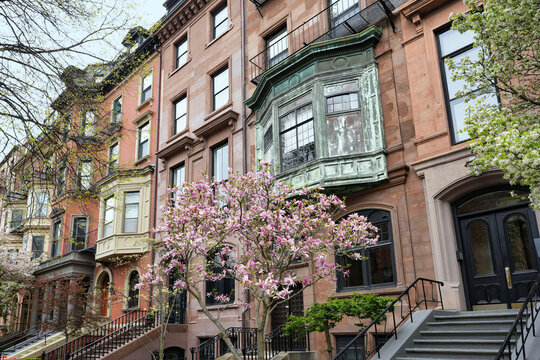 row of old brownstone style townhouses or apartment buildings with bay windows