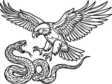 Eagle Attack vs Cobra Defense