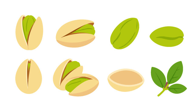 Set of pistachio nuts and leaves in flat vector style