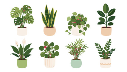 Collection of potted houseplants in flat vector style © Alan