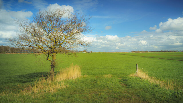 Sunlight paints the vast green fields with shadows.