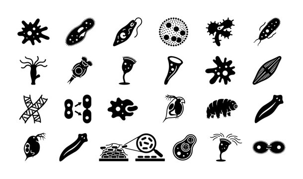 Microscopic organism icons set, 24 black vector silhouettes of bacteria and protozoa, microbiology science symbols for educational diagrams