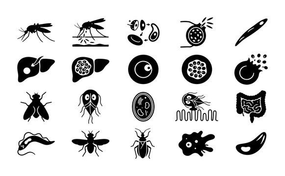 Parasitology and infectious disease icons, 20 black vector symbols of human parasites, malaria mosquitoes, bacteria, and internal organ infections