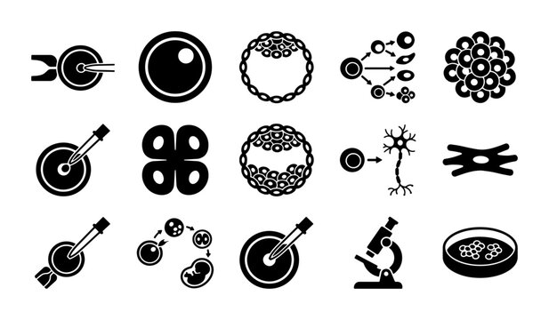 Stem cell research icons set, 15 black vector symbols for biotechnology and embryology, human cell development and laboratory science graphics