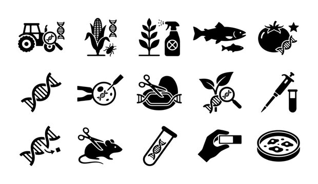 Genetically modified organism icons, GMO biotechnology research vector set, 15 black agricultural science symbols for lab and farming
