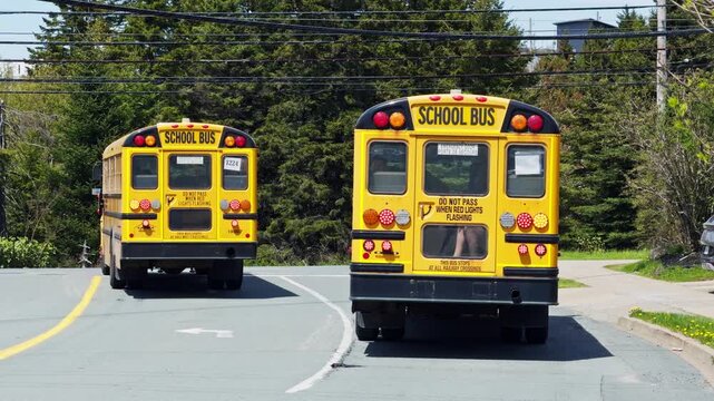 Buses pick up students in Halifax, Nova Scotia. The bright yellow school buses travel along the road, ensuring safe rides for children to school