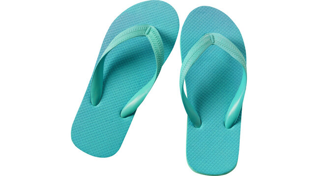 pair of flip flips PNG on Transparent background