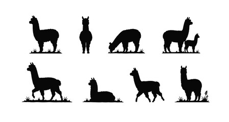 Obraz premium Alpaca Silhouette Collection Farm Animal Bundle Set