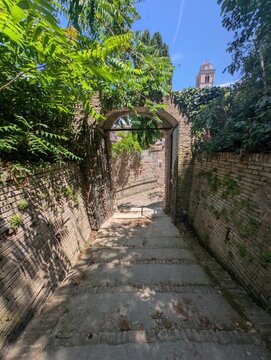 Una scalinata in pietra immersa nel verde conduce verso un arco antico, con la torre del Parco della Rimembranza di Fermo che emerge tra la vegetazione, creando un&rsquo;atmosfera storica e naturale