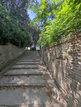 Una scalinata in pietra immersa nel verde conduce verso un arco antico, con la torre del Parco della Rimembranza di Fermo che emerge tra la vegetazione, creando un&rsquo;atmosfera storica e naturale
