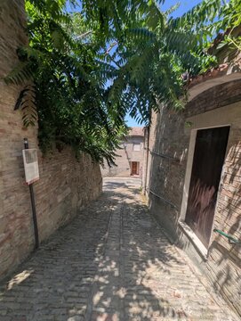 Un vicolo acciottolato ombreggiato da rami verdi conduce verso una piccola apertura luminosa, tra edifici storici in mattoni, creando uno scorcio tranquillo e caratteristico dal fascino europeo