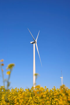 Wind turbines at sunset in green field &ndash; renewable energy, clean power, sustainable future.