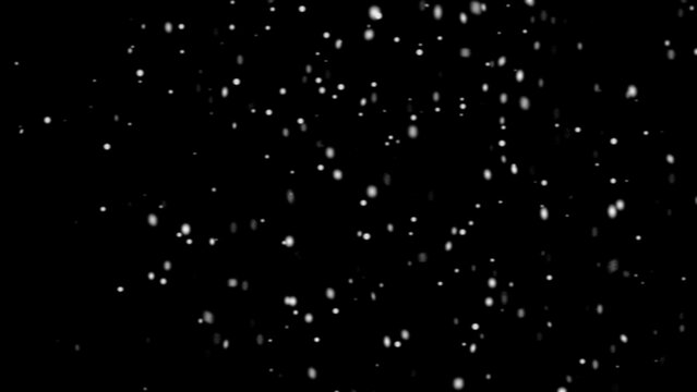 Realistic falling snow isolated on black background for design elements winter weather effect overlay.
