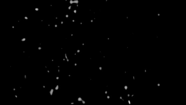 Large soft white spots falling slowly against deep black background creating gentle winter snowfall and cold mood.