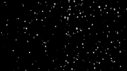 White snow falling down on black background, heavy snowfall, winter weather overlay, snow blizzard, christmas day. © Farhan