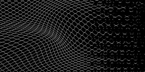 Net texture pattern on white background. Net texture pattern for backdrop and wallpaper. Realistic net pattern with black squares. Geometric background, vector Eps10 © Faisol