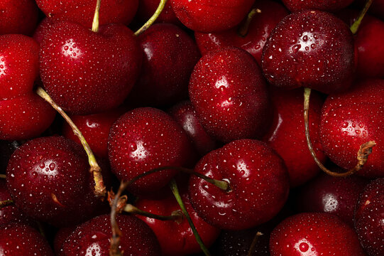Fresh sweet cherries with water drops, juicy summer fruit macro background