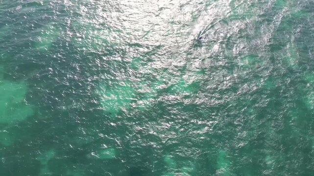 Aerial view of kitesurfers riding ocean waves