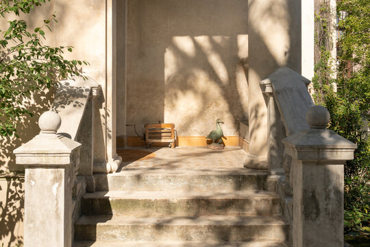 Sunlit entrance stairs with shadows and classic columns