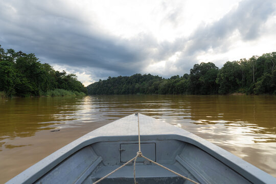 Boat navigating kinabatangan river through borneo rainforest 
