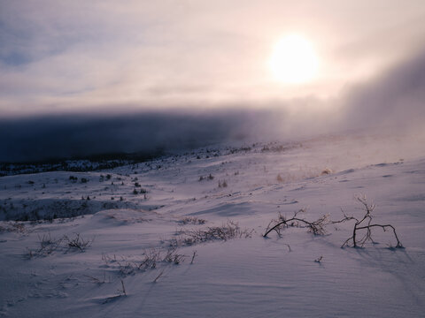 Arctic Glow Winter Tundra