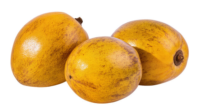 Isolated three fresh and ripe canistel fruits, sometimes called eggfruit or yellow sapote