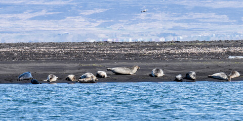 Island (2026-05) © Thomas