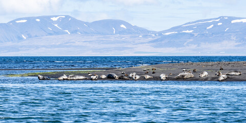 Island (2026-05) © Thomas