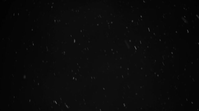 Snow falls gently in the dark, creating a winter atmosphere. This snowfall effect is perfect for backgrounds and adding a festive touch to projects